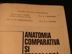 ANATOMIA COMPARATIVA SI TOPOGRAFICA A ANIMALELOR DOMESTICE-EUSEBIU PASTEA- foto