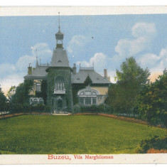 1947 - BUZAU, Vila Marghiloman, Romania - old postcard - used - 1917