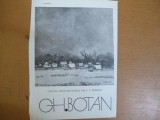 Gh. Botan pictura pliant prezentare