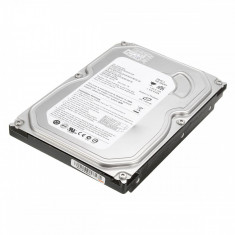 Hard Disk SATA 160 GB 7200 RPM Garantie 6 Luni foto