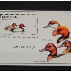 Belarus, fauna, pasari de apa, 2 blocuri, 1996, MNH