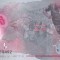 Bancnota Maldive 5 Rufiyaa 2017 - PNew UNC ( polimer - replacement serie Z )