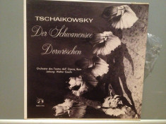 TSCHAIKOWSKY ? SWAN LAKE/SLEEPING BEAUTY (1966/MMS/RFG) - VINIL/Ca NOU foto