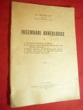 D.Berciu- Insemnari Arheologice - Ed. F.Gobl 1941 , dedicatie si autograf ,54 p