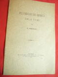 H.Metaxa- Plumburi de Marca de la Tomi - Ed. 1915 Carol Gobl ,19 pag ,ilustratii