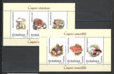 Romania.2003 Ciuperci-triptic YR.1072 foto