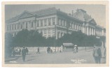 2581 - CRAIOVA, Justice Palace, Romania - old postcard, real PHOTO - unused, Necirculata, Fotografie