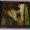 CD Jeff Greinke &lrm;&ndash; Lost Terrain