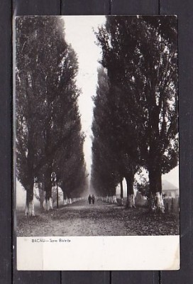 ROMANIA 1961 - BACAU. SPRE BISTRITA. ILUSTRATA ALB-NEGRU CIRCULATA, FD72 foto