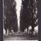 ROMANIA 1961 - BACAU. SPRE BISTRITA. ILUSTRATA ALB-NEGRU CIRCULATA, FD72