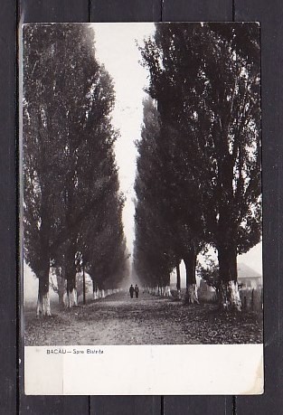 ROMANIA 1961 - BACAU. SPRE BISTRITA. ILUSTRATA ALB-NEGRU CIRCULATA, FD72