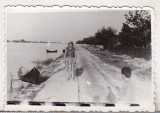 Bnk foto - Pe malul Dunarii la Crisan - 1966, Alb-Negru, Romania de la 1950, Natura