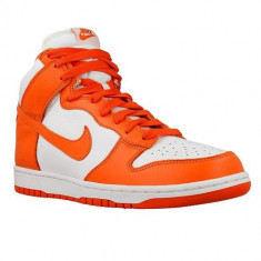 Ghete Barbati Nike Dunk Retro QS 850477101 foto