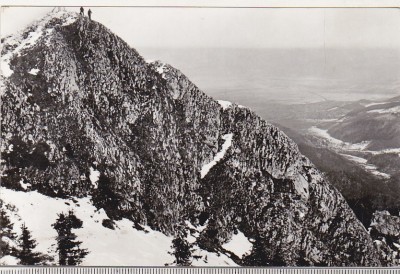 bnk cp Iarna pe masivul POstavarul - Vedere - necirculata foto