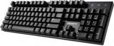 Tastatura Gaming Mecanica GIGABYTE Force K81, Red Switch foto