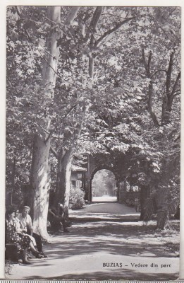 bnk cp Buzias - Vedere din parc - circulata foto