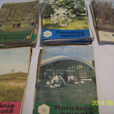 revista '' romania apicola'' anii 1989- 1994, 32 bucati