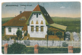 3212 - TARGU MURES, Romania - old postcard - used, Circulata, Printata