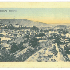 3138 - SIGHISOARA, Mures, Panorama, Romania - old postcard - used - 1917