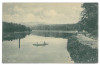 3341 - SIBIU, Dumbrava Park, Romania - old postcard - used - 1917, Circulata, Printata