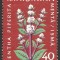 EROARE LA NUMELE MACHETATORULUI -- ROMANIA 1959 --MNH