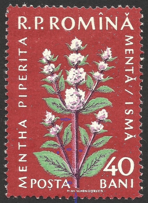 EROARE LA NUMELE MACHETATORULUI -- ROMANIA 1959 --MNH