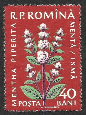 EROARE LA NUMELE MACHETATORULUI -- ROMANIA 1959 --MNH foto