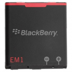 Acumulator Original BLACKBERRY EM1 (1000 mAh) foto