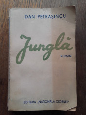 DAN PETRASINCU- JUNGLA, roman //ED.PRINCEPS, FOARTE RARA foto