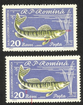 VARIETATI DE TIPAR SI CULOARE -- ROMANIA --1960 MNH foto