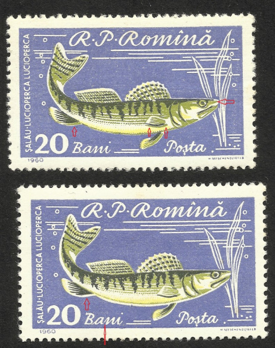 VARIETATI DE TIPAR SI CULOARE -- ROMANIA --1960 MNH