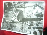 Fotografie de Expozitie de Bujor Expectatus 1958-Arheologie- Demarcatie ,24x18cm