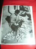 Fotografie de Expozitie autor Bujor Expectatus 1958 -Tigan rudar, 25,5x29cm
