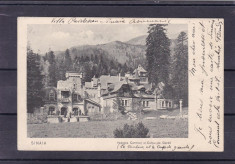 SINAIA VEDEREA CANTINEI SI CORPUL DE GARDA CLASICA CIRCULATA 1904 foto