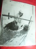 Fotografie de Expozitie de Bujor Expectatus 1958 -Tiganca rudareasa dispoz.artiz