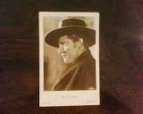 Poza cinema, actori interbelici, Ramon Navarro, format carte postala, stare buna, America de Nord, Sepia, Arta