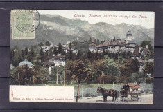 SINAIA VEDEREA MUNTILOR BUCEGI DIN PARC CLASICA CIRCULATA 1906 TCV foto