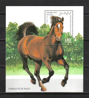SAHARA OCC. CAI DE RASA BLOCK MNH foto