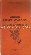 Ghidul Micului Culegator De Plante Medicinale - Ionel Velea foto