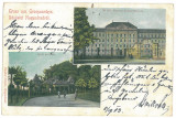 2556 - ORADEA, Litho - old postcard - used - 1902, Circulata, Printata