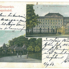 2556 - ORADEA, Litho - old postcard - used - 1902