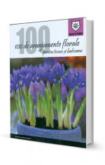 100 de aranjamente florale pentru terase si balcoane - Pierre-Alexandre Risser foto