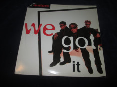 Immature - We Got It _ vinyl,12&amp;quot; _ MCA (SUA) foto