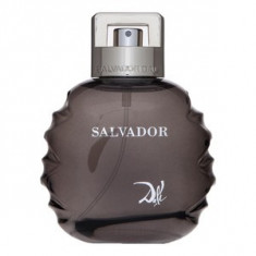 Salvador Dali Salvador eau de Toilette pentru barbati 100 ml foto