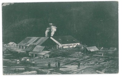 333 - SLANIC, Bacau, Fabrica de cherestea KESKES - old postcard - used - 1923 foto
