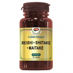 Astragalus 60 Capsule+ Reishi Shiitake Maitake Cadou foto