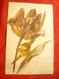 Ilustrata - litografie - floare in relief circ. 1901 la Bacau cu 5 bani Spic de, Circulata, Printata