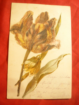 Ilustrata - litografie - floare in relief circ. 1901 la Bacau cu 5 bani Spic de foto