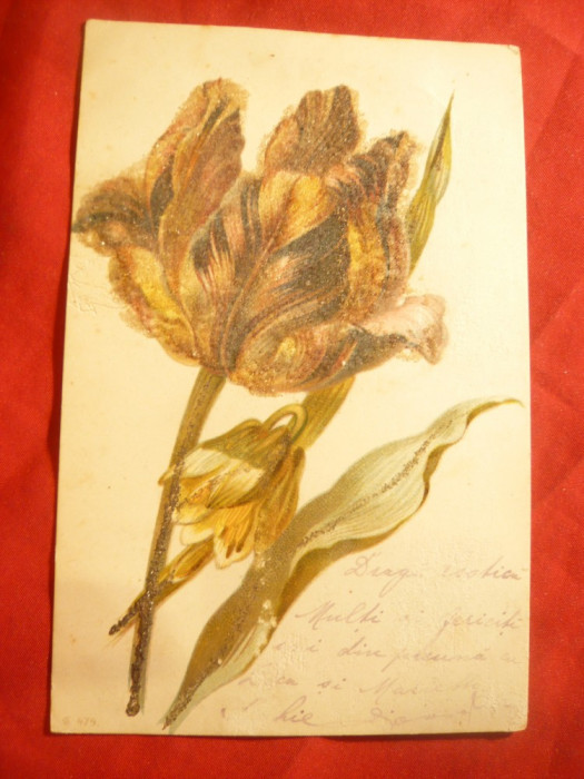 Ilustrata - litografie - floare in relief circ. 1901 la Bacau cu 5 bani Spic de