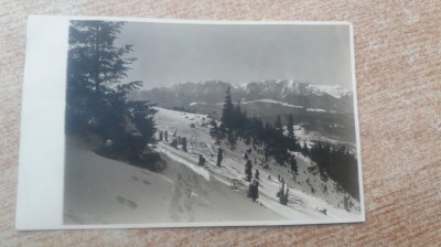 Fagaras foto